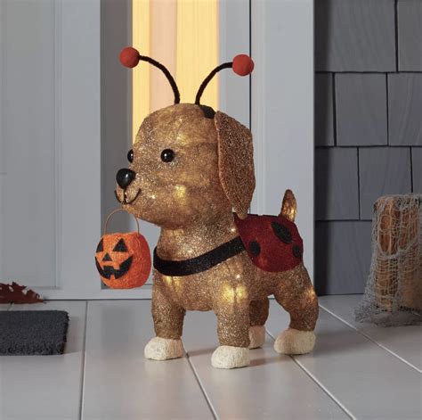 See HGTV's favorite 2023 indoor and outdoor Halloween decorations from Target's Hyde & EEK! Boutique. Trending Trending. HGTV Smart Home 2024. Rock the Block. Things That Make Your House Look Dated. Clever Dollar Store Hacks. Pruning Tips for Spring. Up-and-Coming Small ...